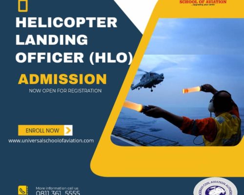 HELICOPTER LANDING OFFICER (HLO)